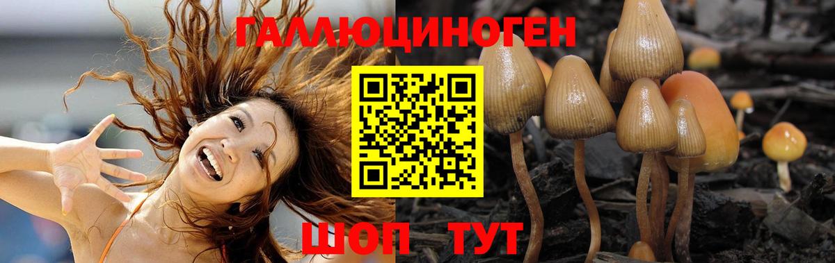 Псилоцибиновые грибы мицелий  Вход с VPN  Мичуринск 